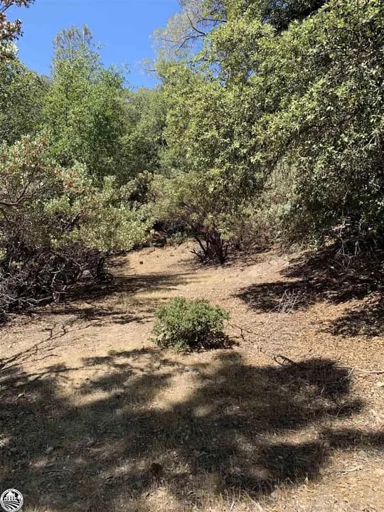 22210 Cadenza Dr, Sonora, CA